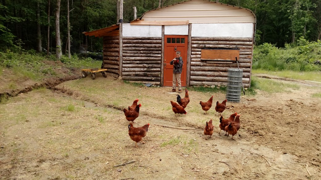 Valley Crick Farms Breeding Flock